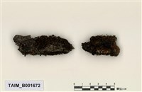 藏品(小木靈苔)的圖片